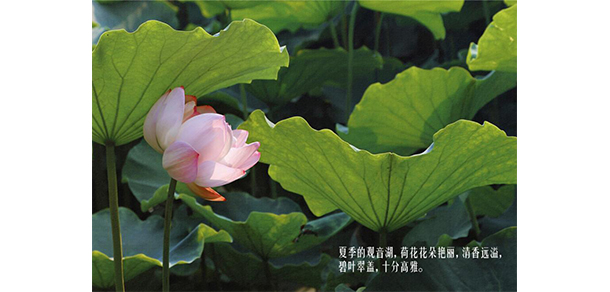 我的大學(xué)-大學(xué)志