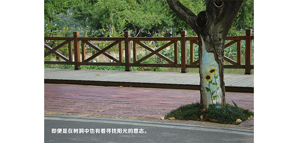 我的大學(xué)-大學(xué)志