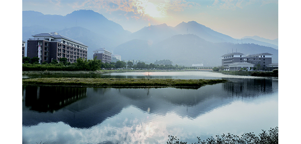 我的大學(xué)-大學(xué)志