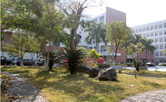泉州經(jīng)貿(mào)職業(yè)技術(shù)學院 - 我的大學