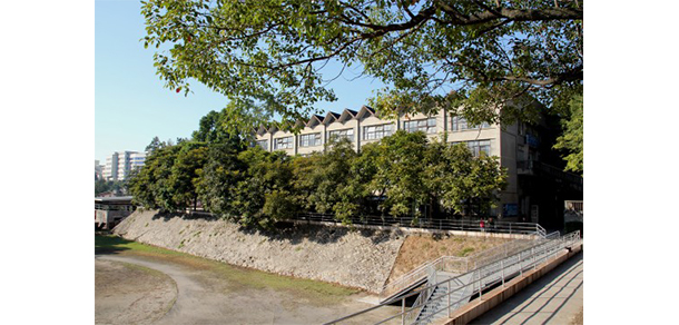 福建幼兒師范高等?？茖W(xué)校 - 最美大學(xué)