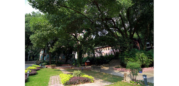 福建幼兒師范高等?？茖W(xué)校 - 最美大學(xué)