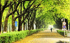 福建體育職業(yè)技術學院 - 我的大學