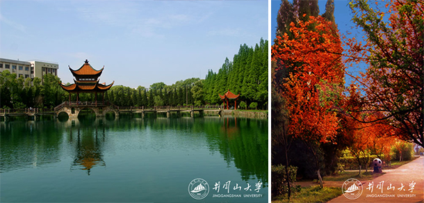 我的大學(xué)-大學(xué)志