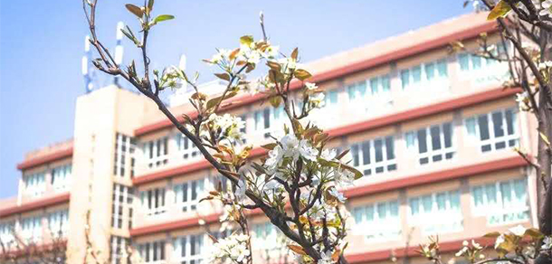 我的大學(xué)-大學(xué)志
