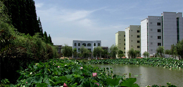 我的大學(xué)-大學(xué)志