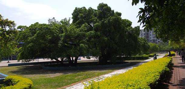 贛南師范大學科技學院 - 最美大學