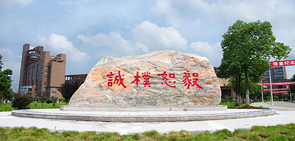 我的大學-大學志