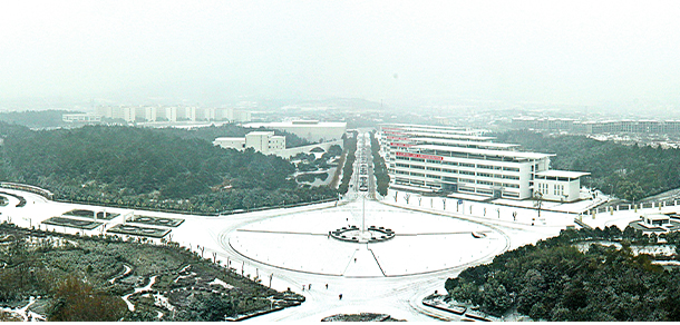 我的大學(xué)-大學(xué)志