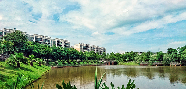 我的大學(xué)-大學(xué)志