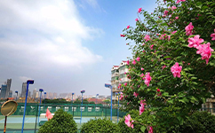 招生公告 · 招生簡(jiǎn)章 · 招生計(jì)劃