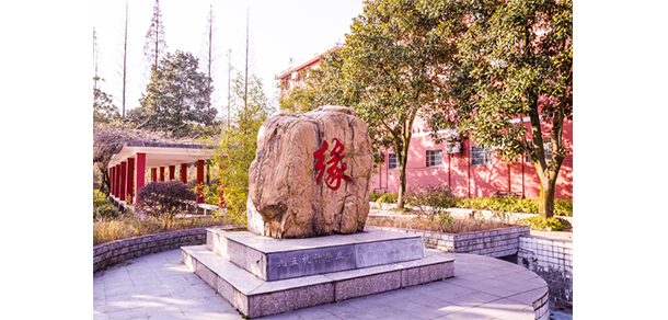 我的大學(xué)-大學(xué)志