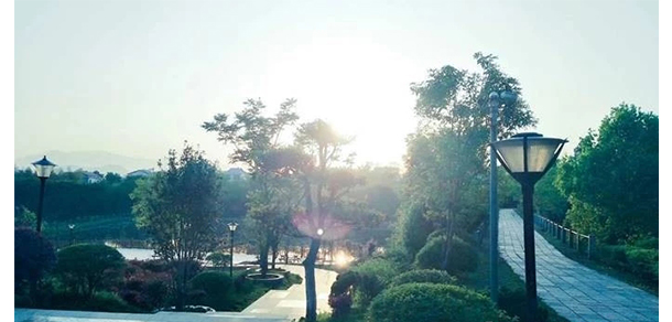 我的大學-大學志