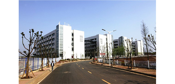 我的大學(xué)-大學(xué)志