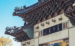 2025年強(qiáng)基計(jì)劃招生簡(jiǎn)章