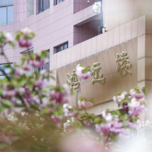 大學(xué)簡介