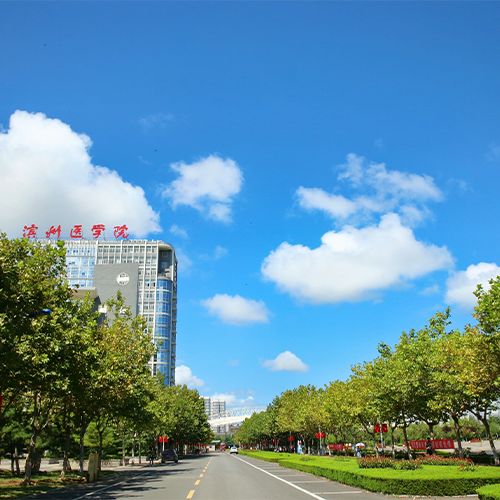 校志校史