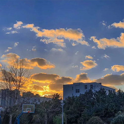 青島大學-大學文化