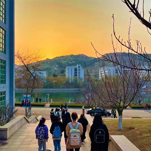 最美大學
