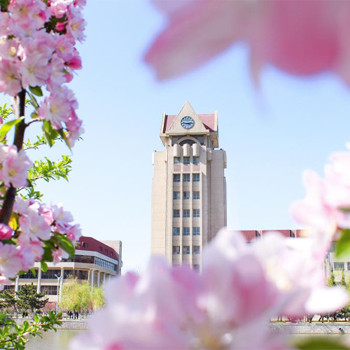 我的大學(xué)
