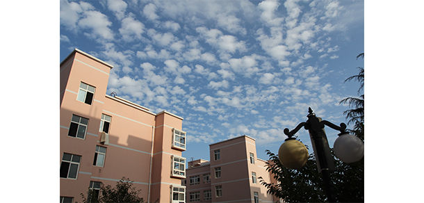 青島科技大學 - 最美大學