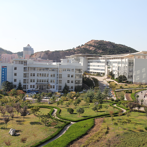 最美大學