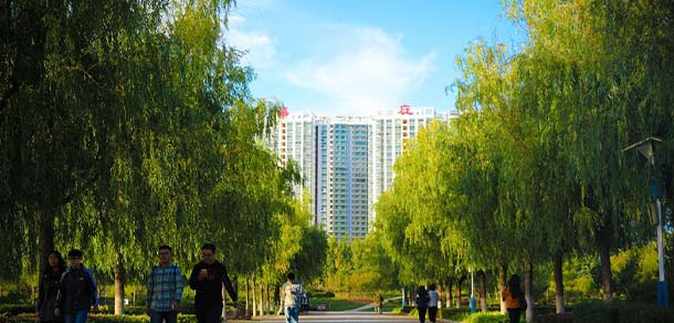 煙臺理工學(xué)院 - 最美院校