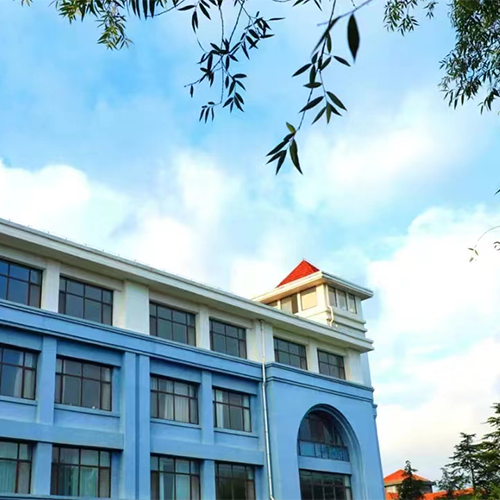 大學簡介