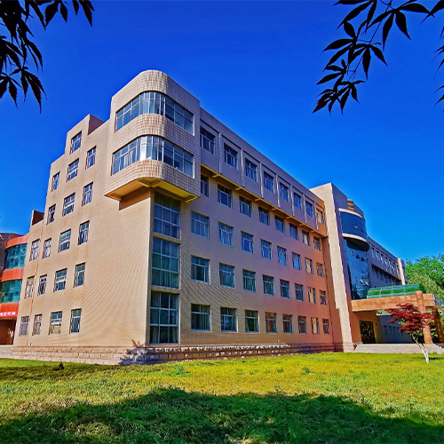 我的大學(xué)