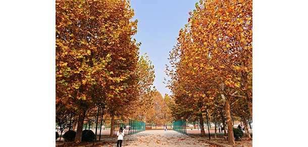 我的大學-大學志