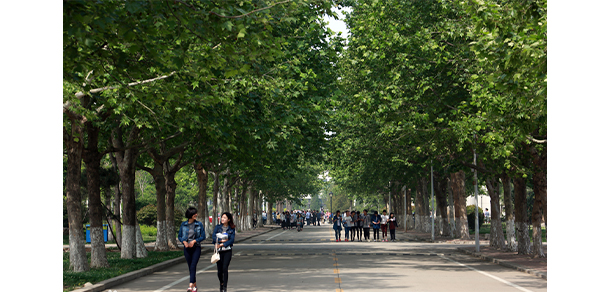 我的大學-大學志