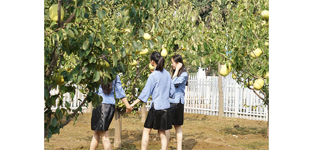 菏澤醫(yī)學(xué)?？茖W(xué)校 - 最美大學(xué)