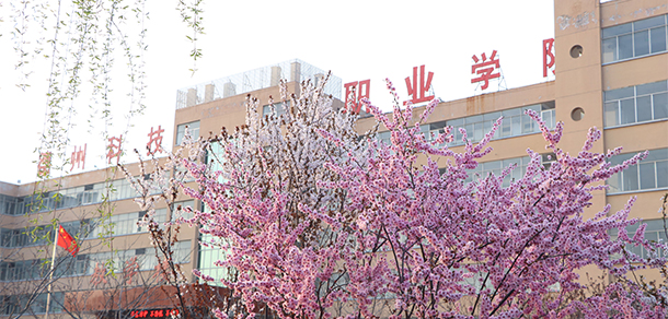 德州科技職業(yè)學院 - 最美院校