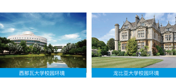 德州科技職業(yè)學院 - 最美大學