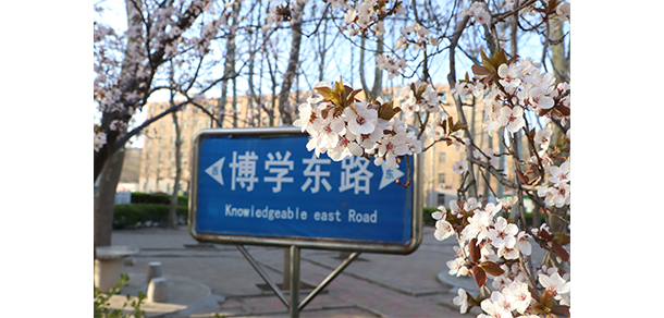 德州科技職業(yè)學院 - 最美大學