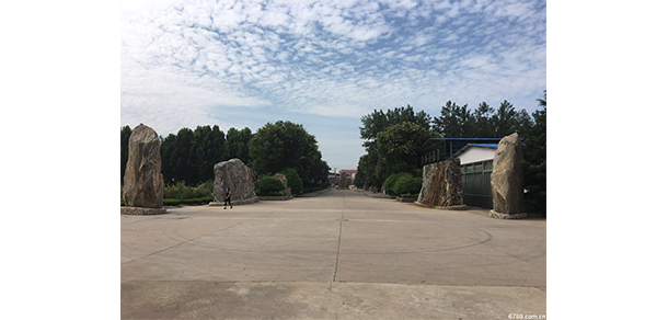 我的大學(xué)-大學(xué)志