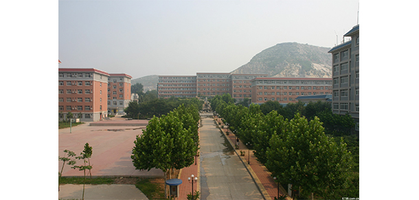 我的大學(xué)-大學(xué)志