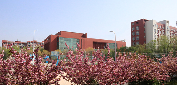 我的大學(xué)-大學(xué)志