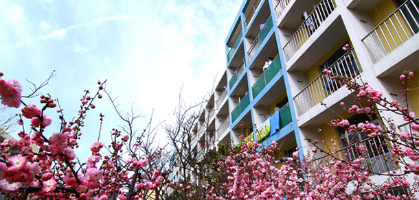 我的大學(xué)-大學(xué)志