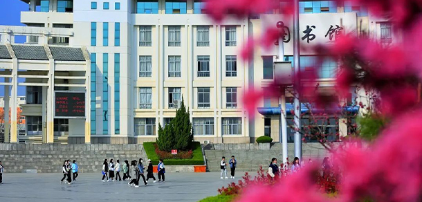 我的大學(xué)-大學(xué)志