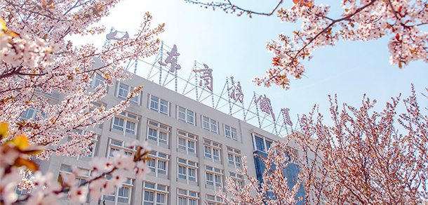 山東商務(wù)職業(yè)學院