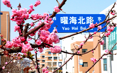 文化標(biāo)識(shí)：校名題寫 / 校徽設(shè)計(jì)