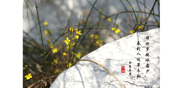 我的大學(xué)-大學(xué)志