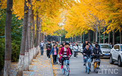 洛陽(yáng)理工學(xué)院 - 我的大學(xué)