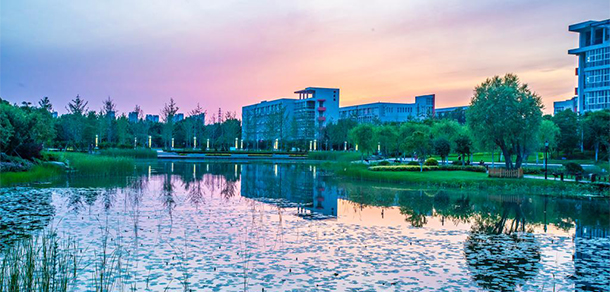 我的大學(xué)-大學(xué)志