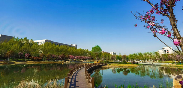 我的大學(xué)-大學(xué)志