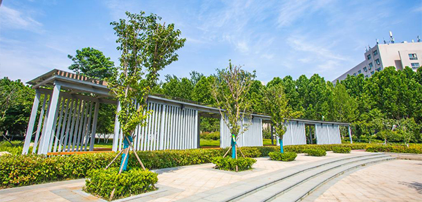 我的大學(xué)-大學(xué)志