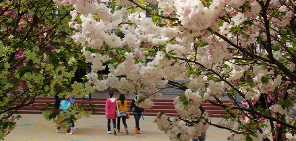 我的大學-大學志