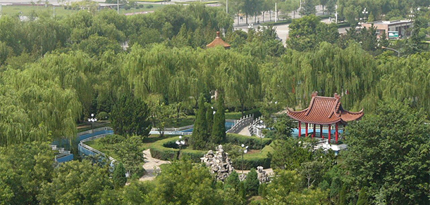 2021年招生分數(shù)