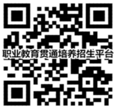 二維碼在線進行報考、計劃查詢、錄取查詢
